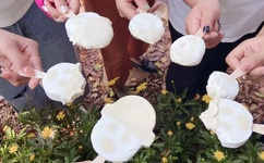 成人免费看特黄A片免费